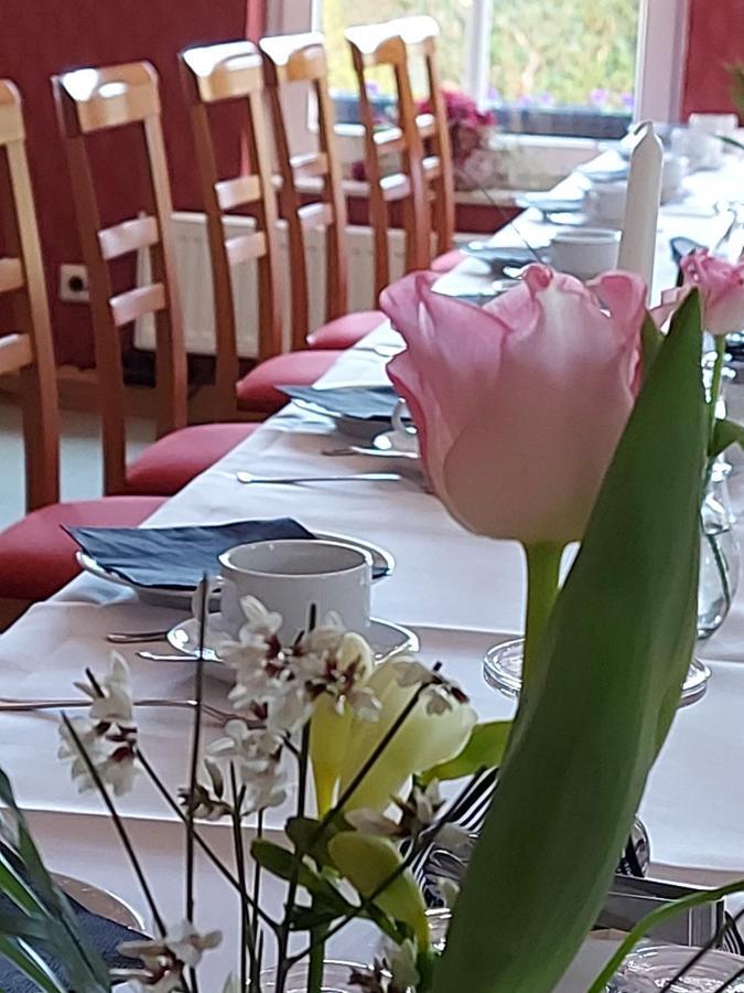 Am Wasserturm Pension Bad Muskau Eksteriør billede